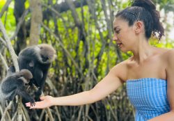Bentota River Safaris