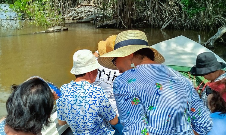 Three-Hour River Safari